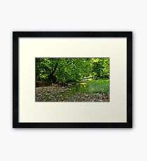 The Beauty of Nature Framed Print