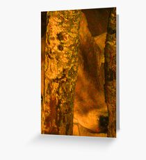 Untitled Greeting Card