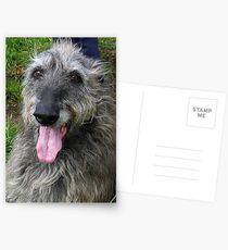Hector...Gentle Giant. Postcards