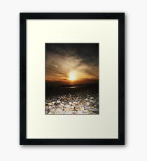 Seashells.... Framed Print