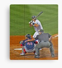 Teixeria Metal Print