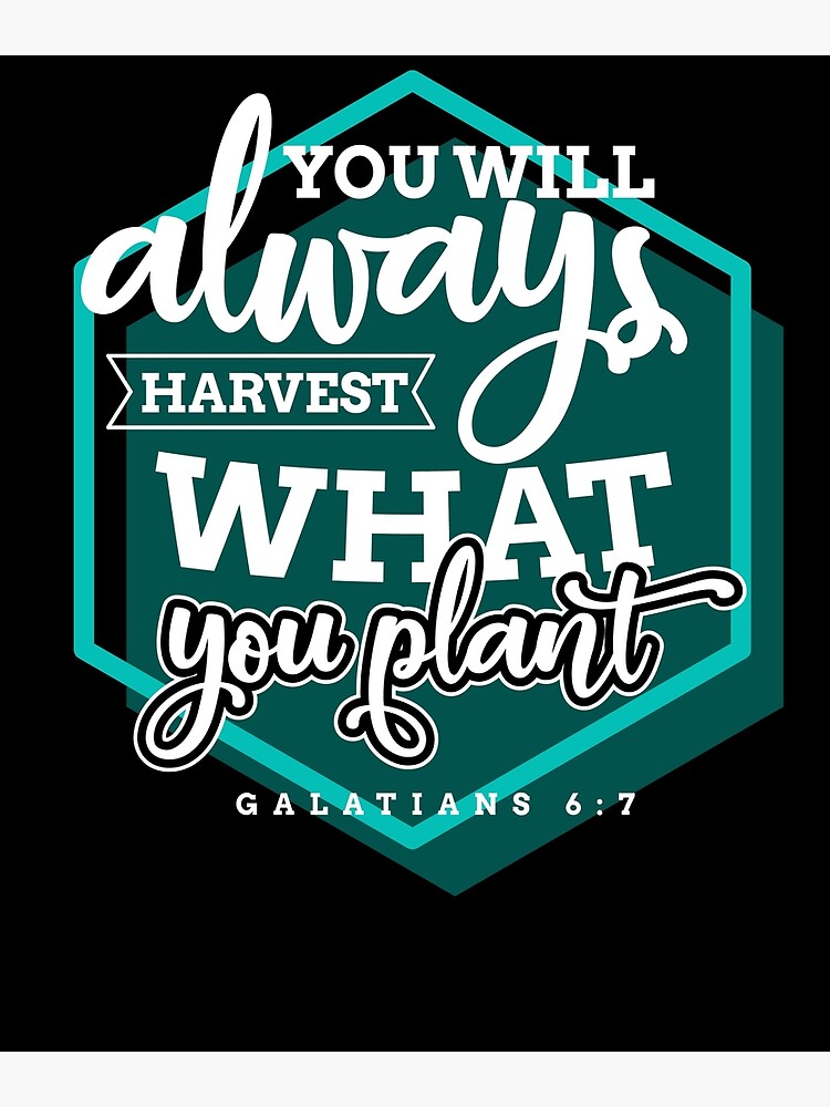 bible-verse-you-will-reap-what-you-sow-poster-by-goodnewsdesign