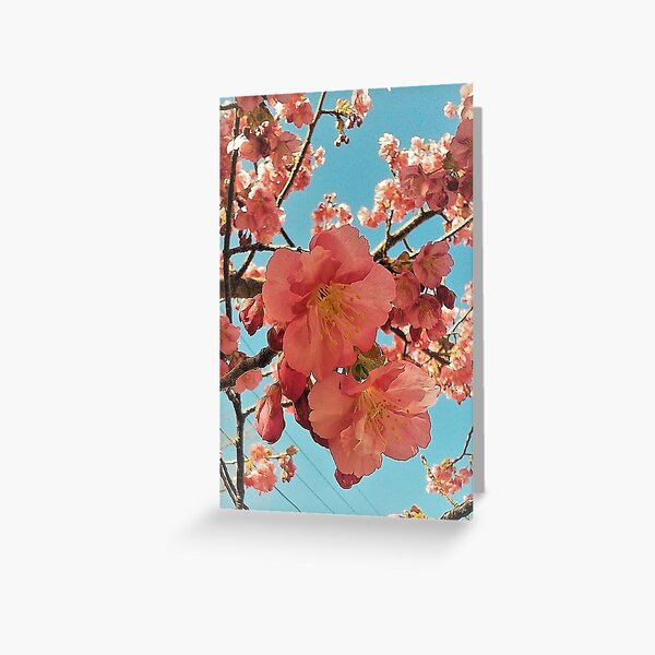 Sakura Kirschblüte Muster Grußkarte