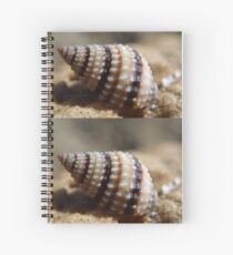 Sea Shell Spiral Notebook