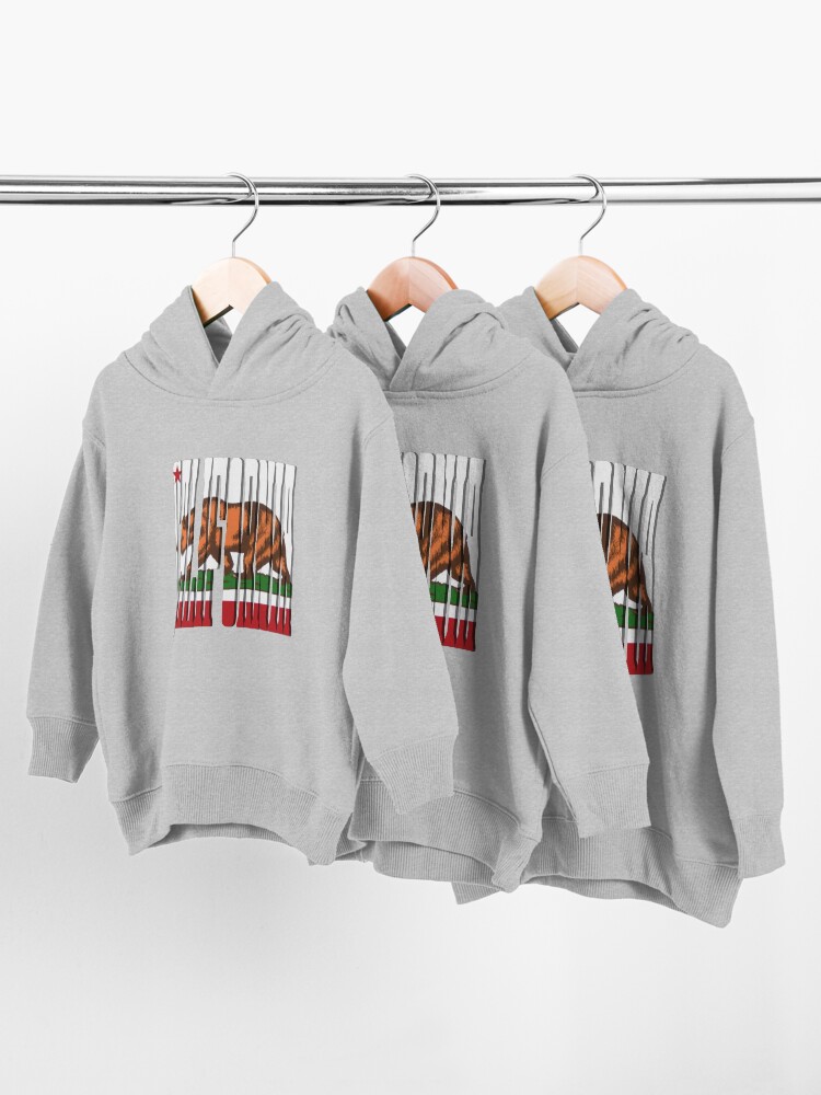 Alternate view of California Bear Toddler Pullover Hoodie