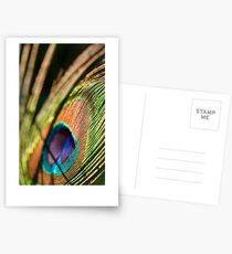 sunlit Postcards