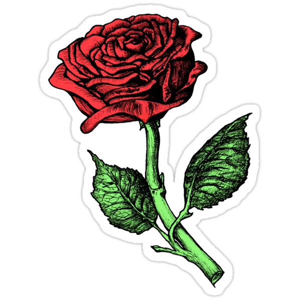  Single Red Rose  Stickers  by Paul Fleet Redbubble