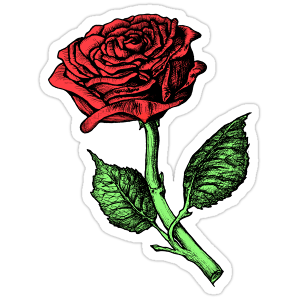 "Single Red Rose" Stickers by Paul Fleet | Redbubble