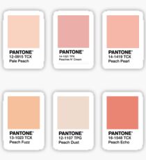 Peach color square stickers Sticker
