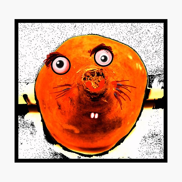 Sweet Potato Photographic Print