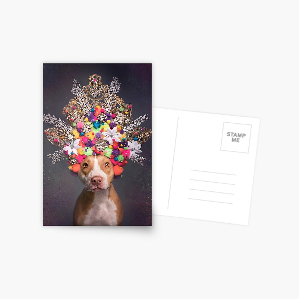 Pit Bull Flower Power, Frida Postcard