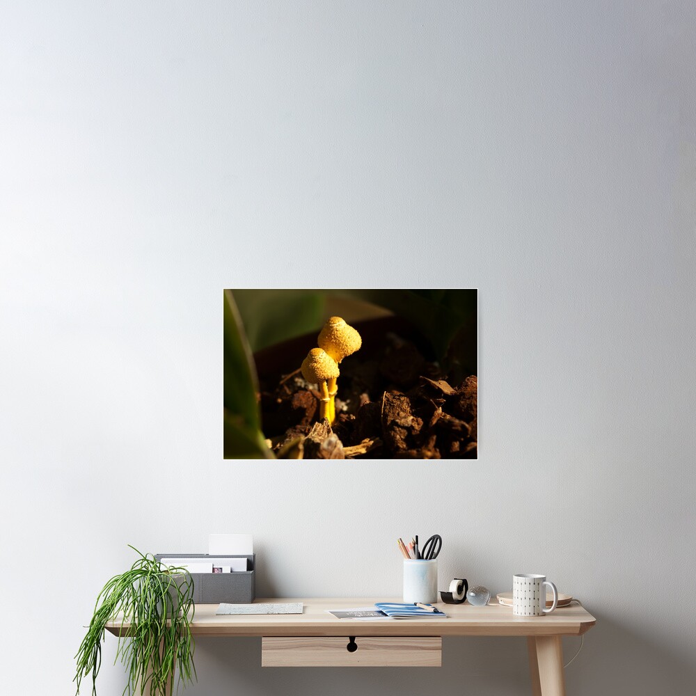 Two little aliens... Poster