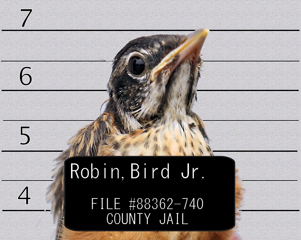 "Jail Bird" by Brian Dodd Redbubble.