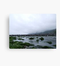 Jurassic Coast Canvas Print