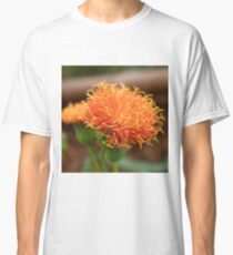 Scruffy Classic T-Shirt