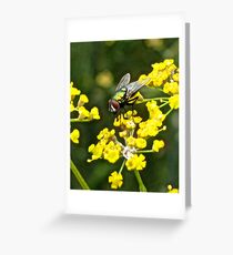 Fly and Fennel Greeting Card