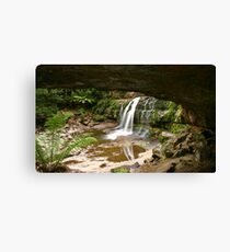 Liffey Falls Tasmania Canvas Print
