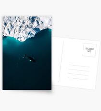 Aerial of a lone Humpback whale in front of an iceberg in Greenland Postcards