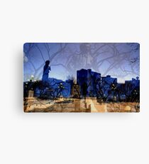 Mysterious!!! Canvas Print
