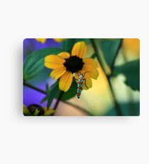 Color on color Canvas Print