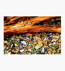 Patagonian Shore Photographic Print