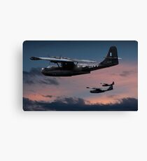 Black Cats Canvas Print