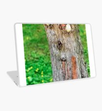 Vinilo para portátil Árbol espeluznante