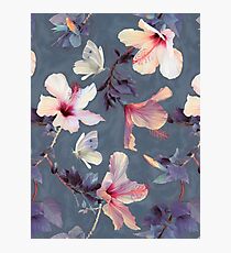 Butterflies and Hibiscus Flowers - a painted pattern Photographic Print