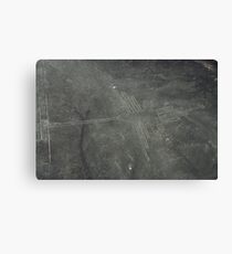 The Nazca Hummingbird Canvas Print