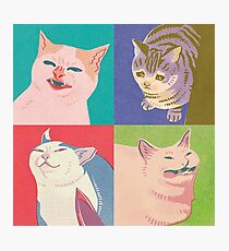 Four Meme Cats of the Apocalypse Photographic Print