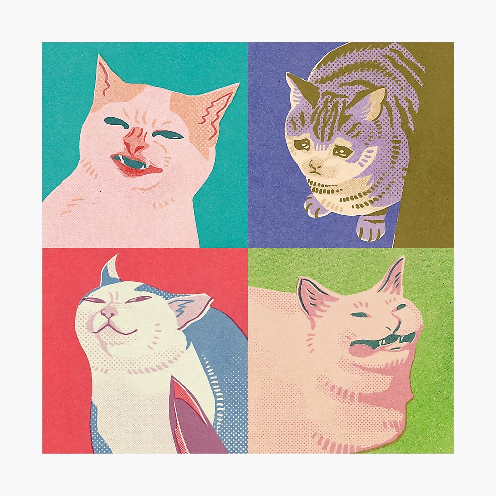 Four Meme Cats of the Apocalypse Photographic Print