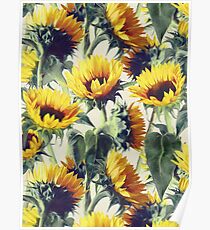 Sonnenblumen für immer Poster