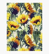 Sunflowers Forever Photographic Print