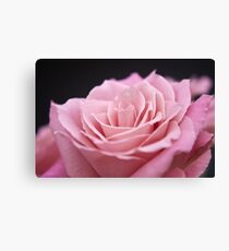 Gentleness Canvas Print