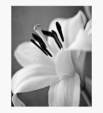 Profile of a Beauty Photographic Print