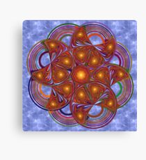 Wheel of Paradigms Canvas Print