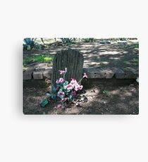 Decayed Canvas Print
