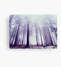 Within Reach Canvas Print