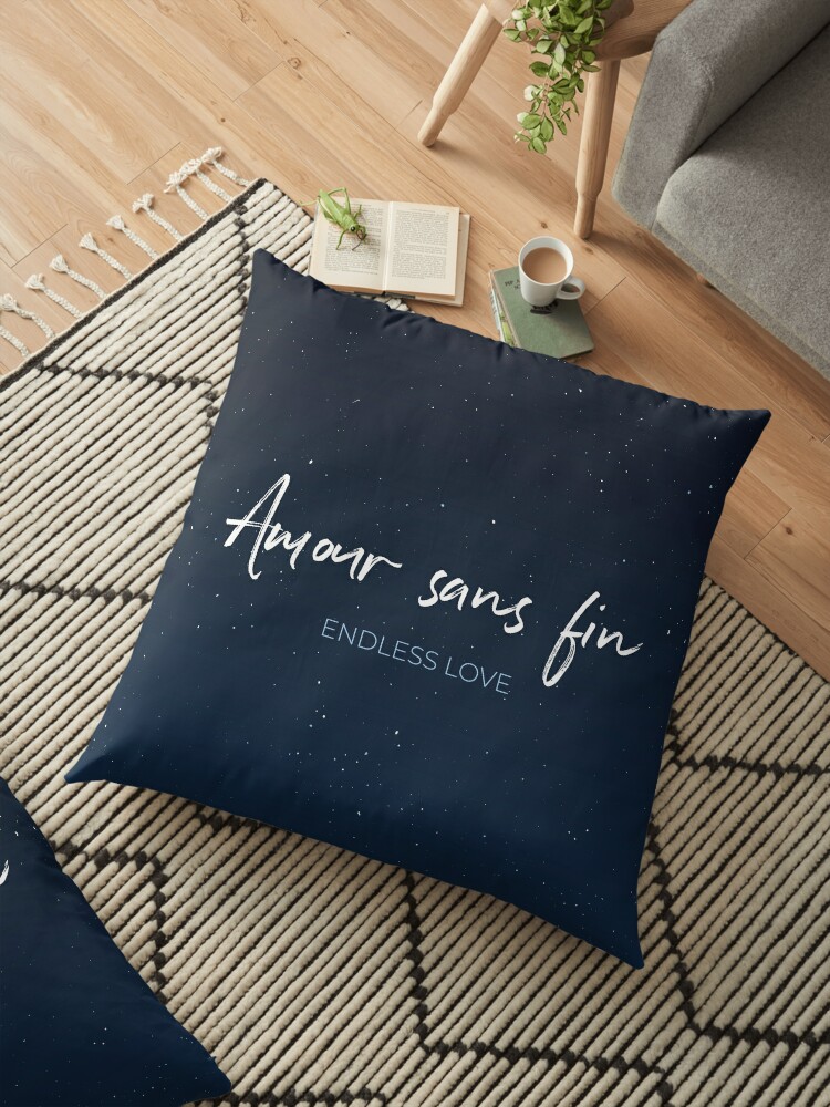 Amour Sans Fin Endless Love Translate Romantic French Idiom