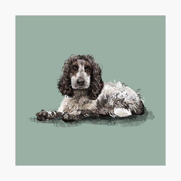 Poppy Photographic Print