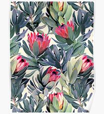 Gemaltes Protea-Muster Poster