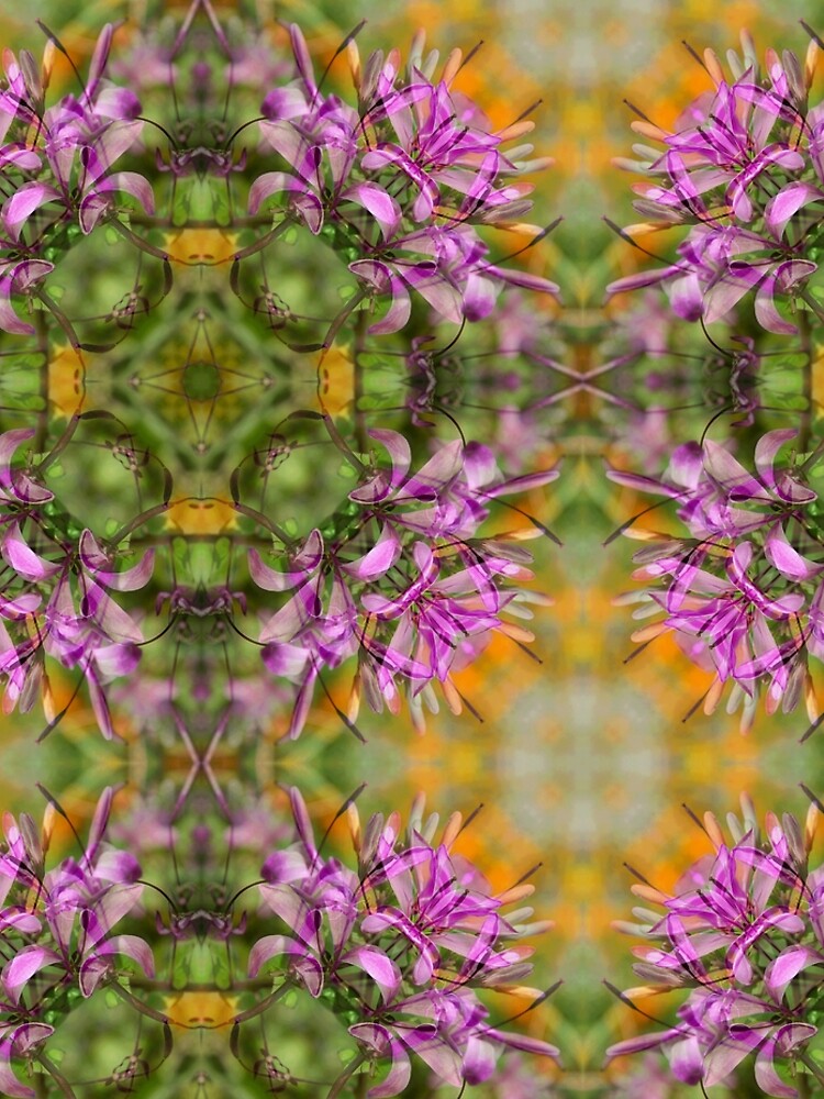 NEPALI WILDFLOWERS 3 by JeffBossler