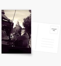 Horse - Shoes Postcards