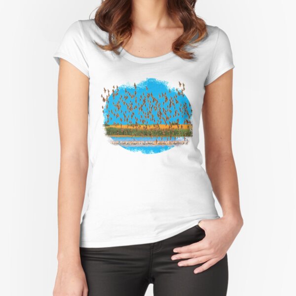 Shorebirds in Flight Fitted Scoop T-Shirt