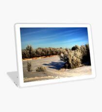 NATURE'S BRUSH Laptop Skin
