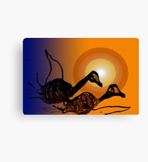 fly Canvas Print