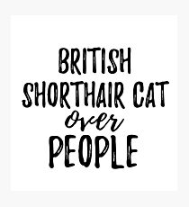 Lámina fotográfica British Shorthair Cat Over People