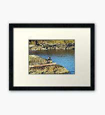 Friends Framed Print