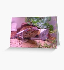 Lunch Time Greeting Card