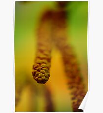 Walk Tall Poster